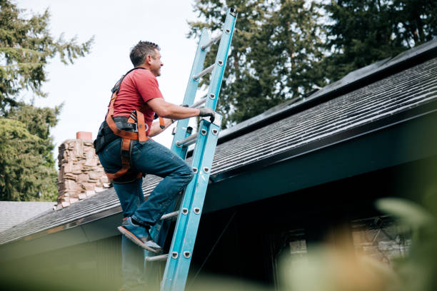 Best 4 Ply Roofing  in Valenti, NE